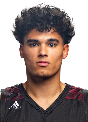 College Chico State Wildcats solidifies the 2023-2024 roster - Chico Times