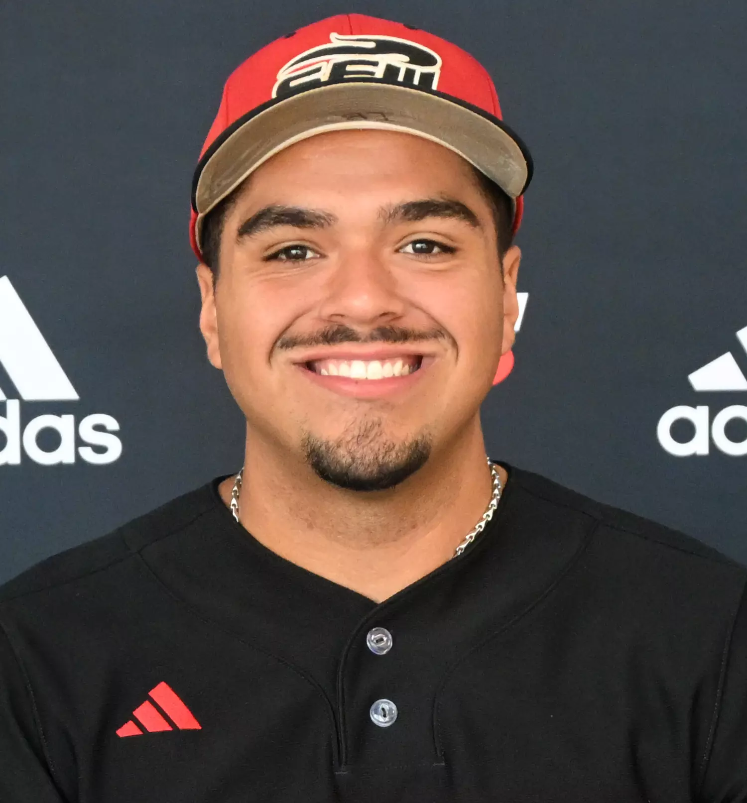 Sebastien Germano and Luis Alvarez