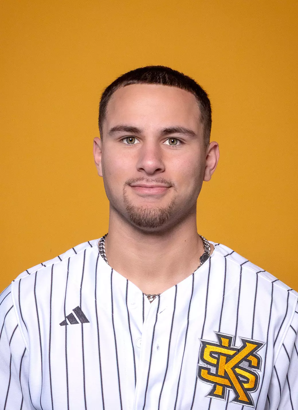 Joseph Allen and Jon Strydom